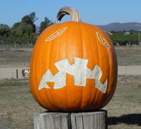 Missing, Nipomo Pumpkin Patch, best carving idea